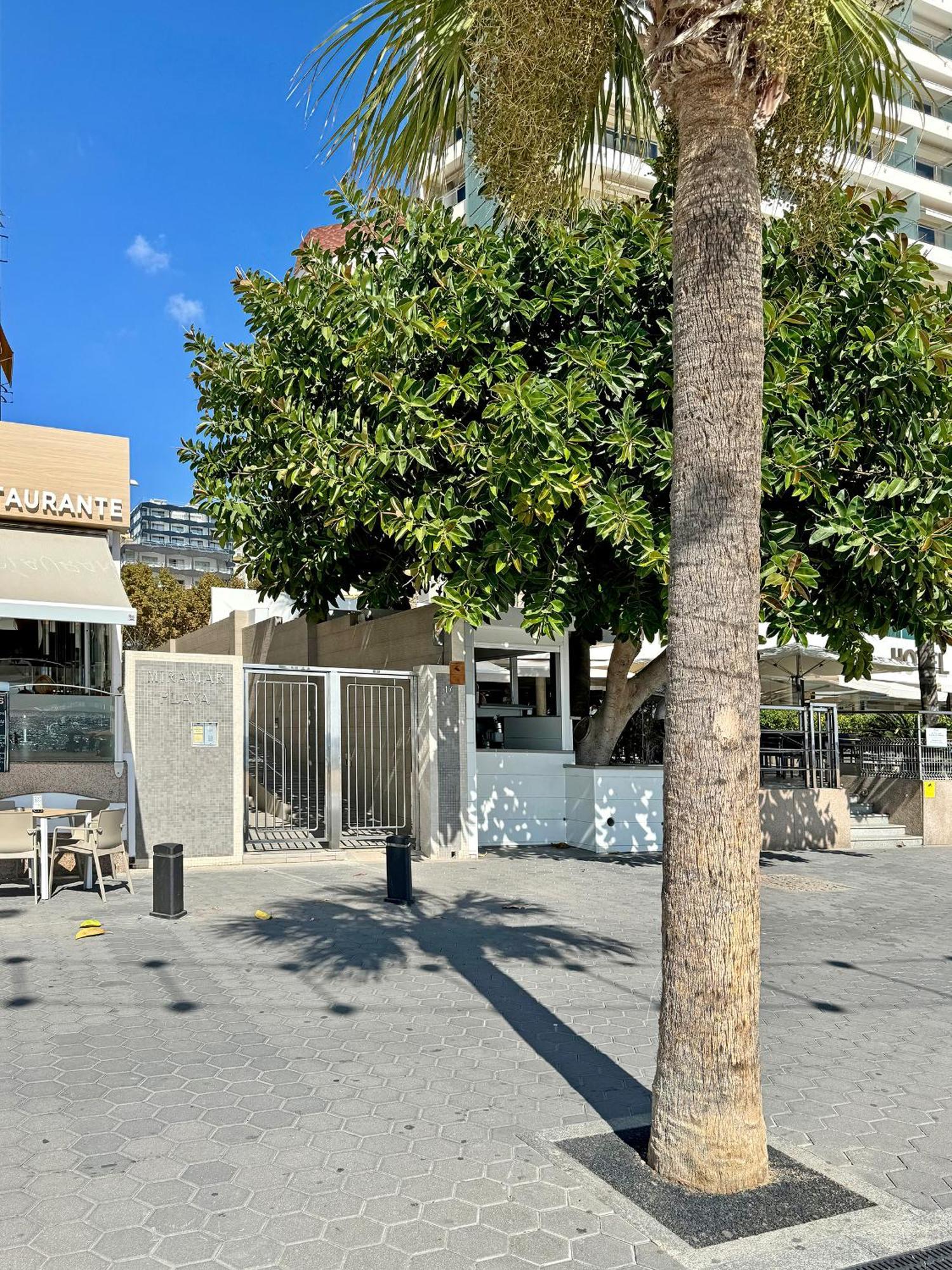 Precioso Estudio Frente La Playa Benidorm Exterior photo
